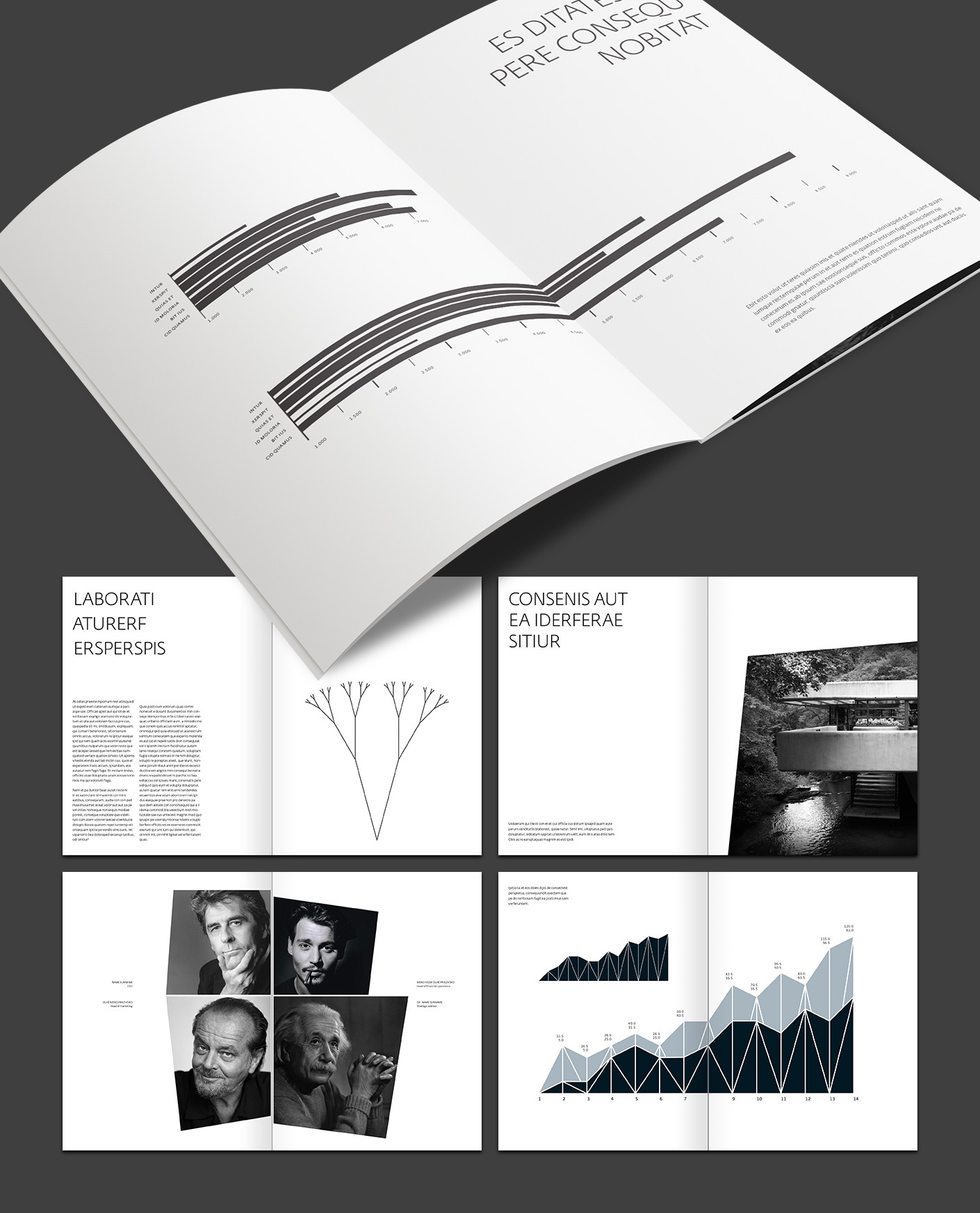 studio 001 jt banka brochure design